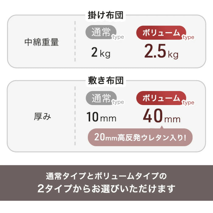 【対応こたつサイズ：幅105-120×奥行75-90cm】とろりん こたつ布団 ボリュームタイプ 掛敷2点セット 何度も洗える 防臭 大判 掛け布団 敷布団〔91300168〕