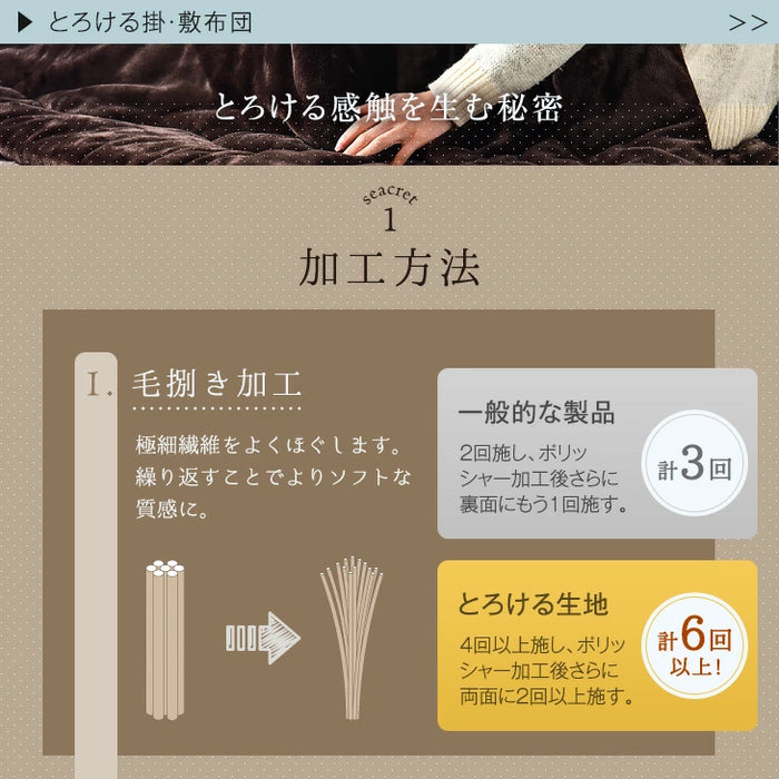 【対応こたつサイズ：幅105-120×奥行75-90cm】とろりん こたつ布団 ボリュームタイプ 掛敷2点セット 何度も洗える 防臭 大判 掛け布団 敷布団〔91300168〕
