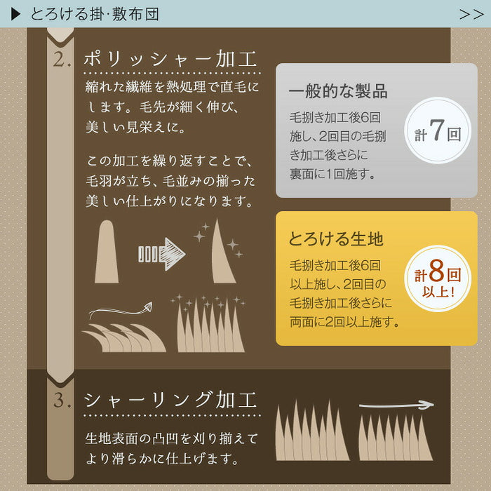 【対応こたつサイズ：幅105-120×奥行75-90cm】とろりん こたつ布団 ボリュームタイプ 掛敷2点セット 何度も洗える 防臭 大判 掛け布団 敷布団〔91300168〕