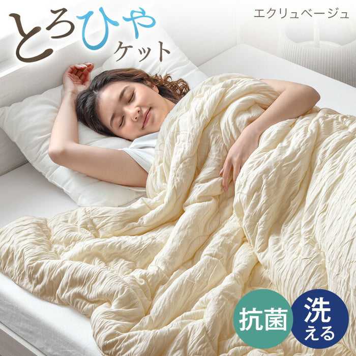 ダブル] とろけるような肌触り レーヨンケット 180×190cm 洗える とろ