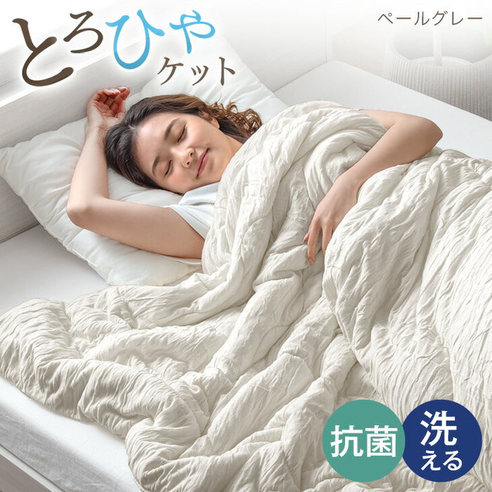 ダブル] とろけるような肌触り レーヨンケット 180×190cm 洗える とろ