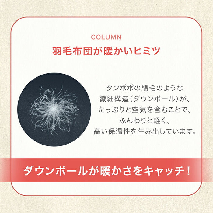 【復活記念プライス】［ダブル 増量タイプ］発熱 人工羽毛 掛け布団 洗える 暖かい 軽量 丸洗い可能 保温〔63900071〕