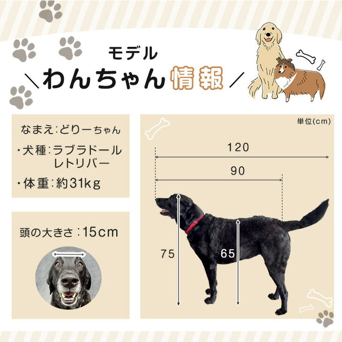 ［2ドア・12枚セット］大型犬対応 バリアフリー ペットサークル 高さ 100cm 超ハイタイプ 折りたたみ 拡張〔99900601〕