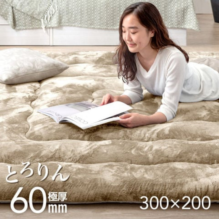 【アウトレット キャンセル戻り品】[200×300]  超極厚60mm とろりんラグ 4畳 とろけるような肌触り 極細マイクロファイバー ホットカーペット対応〔6501001121out・out3313〕
