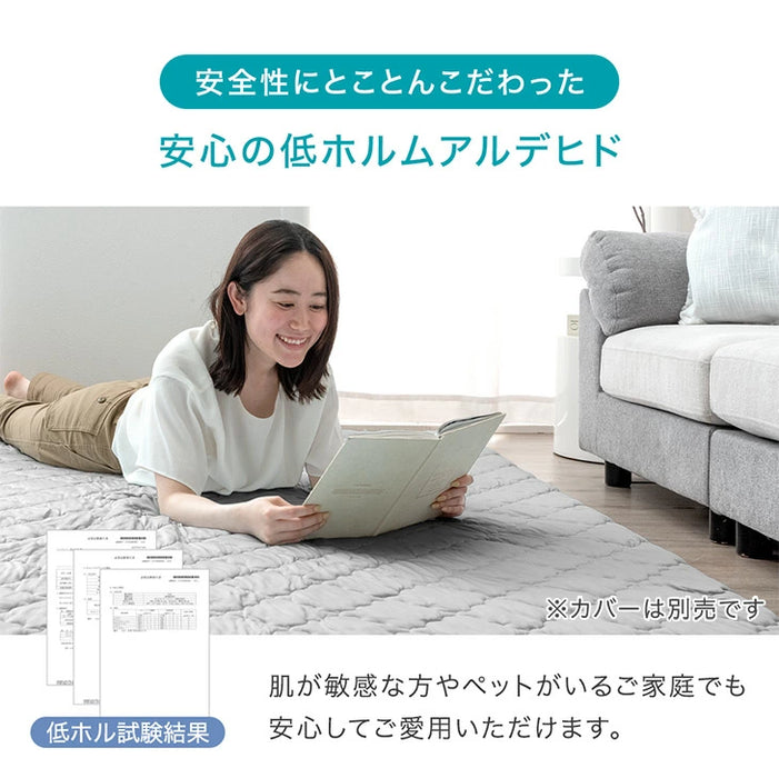 極厚50mmカバーリングラグ専用 ウレタン中芯 単品 Sサイズ【商品番号：61300077のカバーリングラグ専用】〔65010091〕