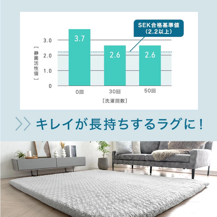 【商品番号：65010102のカバーリングラグ専用】カバー単品 L 洗える カバーリングラグ ラグ カバー 単品 イブル イブルマット〔61100102〕