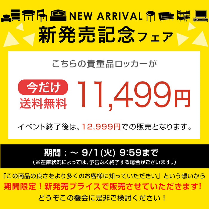 【新発売記念プライス】［個人のお客様・4人用］ダイヤル錠付き 貴重品ロッカー 幅40 奥行28 高さ27 スチール〔7740002601〕