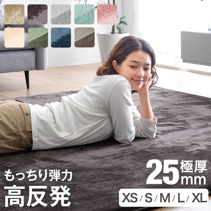 ［200×250］極厚25mm 高反発ラグ 滑り止め付 フランネル生地 ホットカーペット対応 防音 ラグマット ラグ〔65010003〕