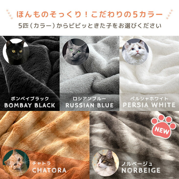 [シングル] もはや、ねこ。カバーになる 毛布 洗える 二枚合わせ 掛け布団〔80100221〕