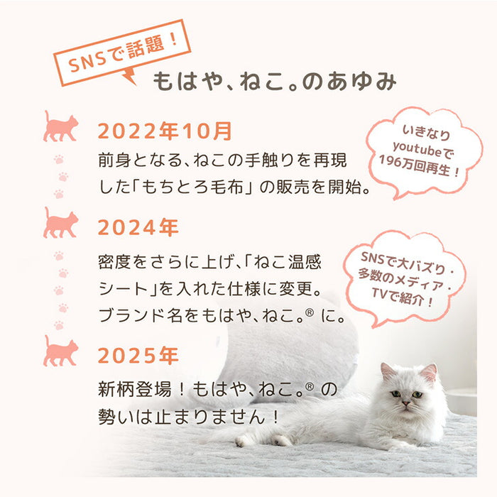 [シングル] もはや、ねこ。カバーになる 毛布 洗える 二枚合わせ 掛け布団〔80100221〕