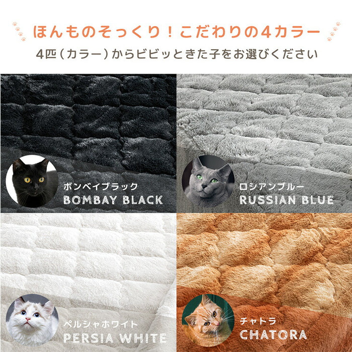 ≪TVで紹介≫[セミダブル] もはや、ねこ。 一体型 ボックスシーツ 洗える 暖かい 防ダニ 抗菌防臭 敷きパッド秋冬用 猫柄 おしゃれ〔80100137〕