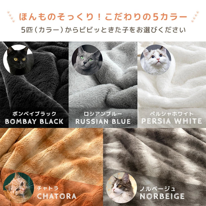 【新発売記念プライス】[シングル] もはや、ねこ。カバーになる 毛布 洗える 二枚合わせ 掛け布団〔80100221〕