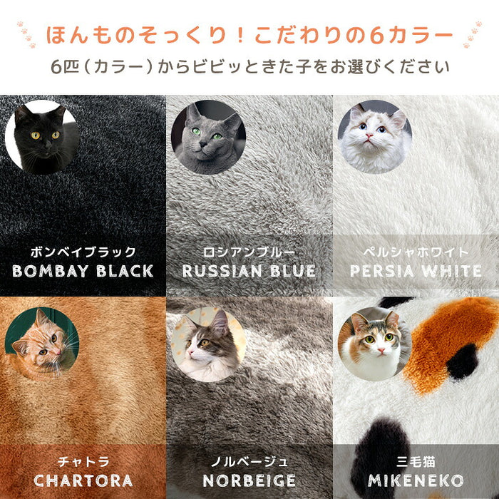 ［掛け布団+敷布団］もはや、ねこ。こたつ布団 掛敷2点セット 正方形 190×190 抗菌 防臭 防ダニ 洗える こたつ用〔80100308〕
