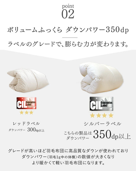 [シングル] 洗える 羽毛布団セット 7点 抗菌 防臭 洗濯OK 羽毛布団 寝具セット 来客用 新生活〔85500041〕