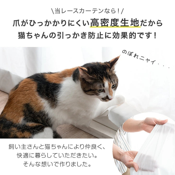 2枚組 ひっかき防止 高密度 ミラーレースカーテン  遮像 UVカット 洗える 猫 犬 ペット 透けない おしゃれ〔86500051〕