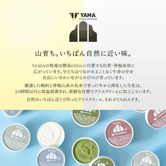 搾りたて生乳 九州 牧場 アイスクリーム 8種セット YAMA 濃厚 ミルク 食べ比べ 詰め合わせ ギフト 無添加 ノンホモ ミルク バニラ 抹茶 ストロベリー 誕生日 お中元 暑中見舞い プレゼント ギフト〔87721222〕