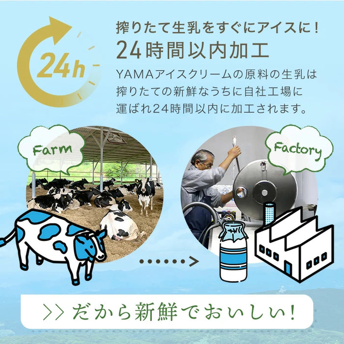 搾りたて生乳 九州 牧場 アイスクリーム 8種セット YAMA 濃厚 ミルク 食べ比べ 詰め合わせ ギフト 無添加 ノンホモ ミルク バニラ 抹茶 ストロベリー 誕生日〔87721222〕