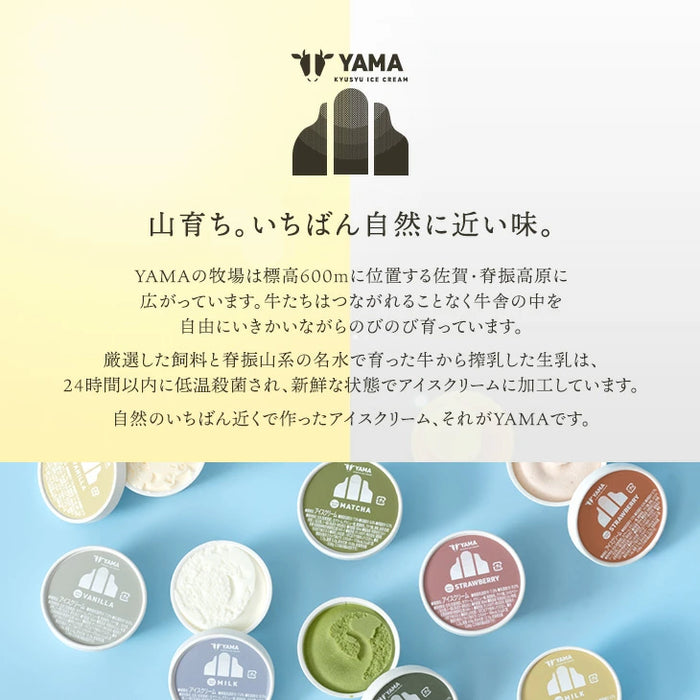 搾りたて生乳 九州 牧場 アイスクリーム 8種セット YAMA 濃厚 ミルク 食べ比べ 詰め合わせ ギフト 無添加 ノンホモ ミルク バニラ 抹茶 ストロベリー 誕生日〔87721222〕
