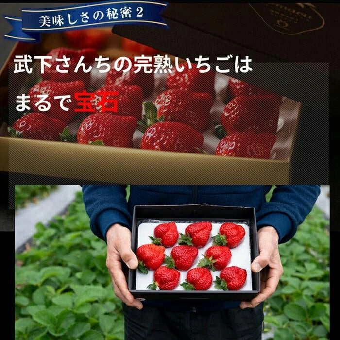 大容量 2L 武下さんちの“完熟” あまおうジェラート 究極いちご含有率56％ 福岡県 大川 アイスクリーム シャーベット パーティー バーベキュー イチゴ スイーツ ファミリー 無着色〔89600016〕