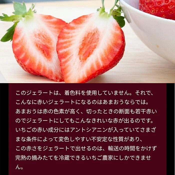 武下さんちの“完熟” あまおうジェラート 究極いちご含有率56％ 6個 ギフト いちご 福岡県 大川 アイスクリーム シャーベット カップアイス 詰め合わせ 無着色〔89600008〕