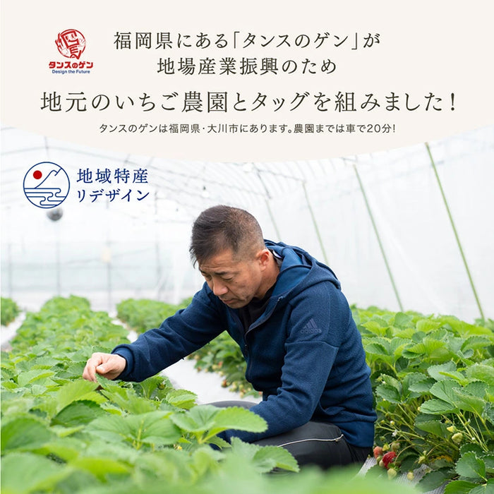 武下さんちの“完熟” あまおうジェラート 究極いちご含有率56％ 6個 ギフト いちご 福岡県 大川 アイスクリーム シャーベット カップアイス 詰め合わせ 無着色〔89600008〕