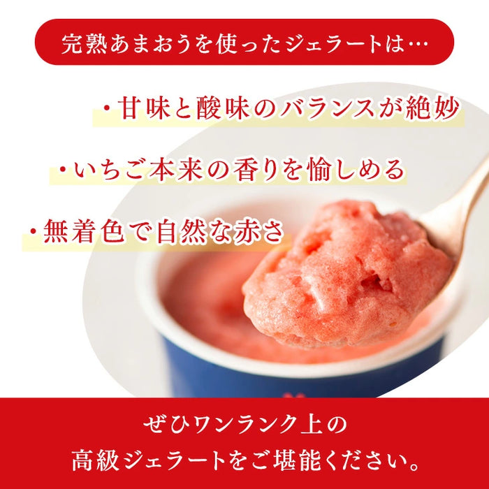 武下さんちの“完熟” あまおうジェラート 究極いちご含有率56％ 6個 ギフト いちご 福岡県 大川 アイスクリーム シャーベット カップアイス 詰め合わせ 無着色〔89600008〕