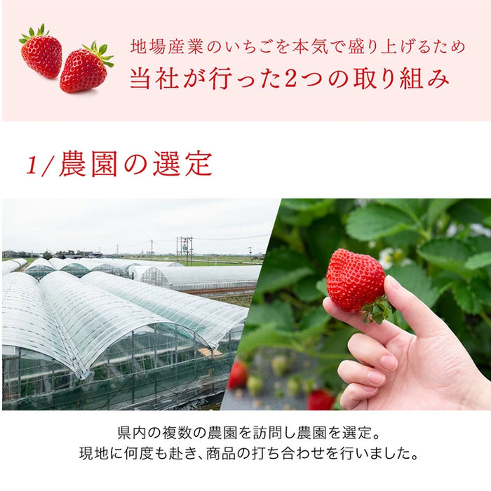 武下さんちの“完熟” あまおうジェラート 究極いちご含有率56％ 6個 ギフト いちご 福岡県 大川 アイスクリーム シャーベット カップアイス 詰め合わせ 無着色〔89600008〕