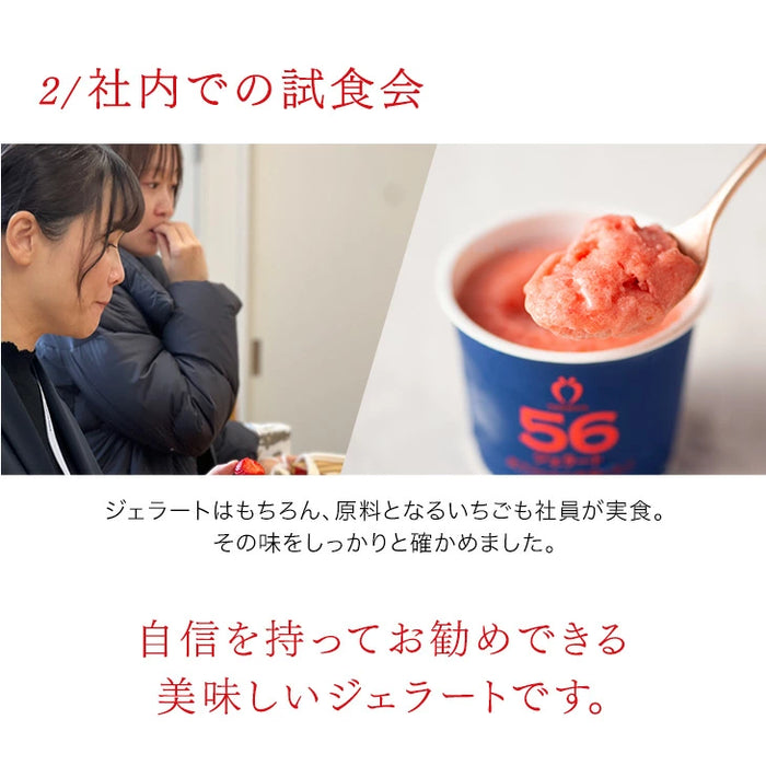 武下さんちの“完熟” あまおうジェラート 究極いちご含有率56％ 6個 ギフト いちご 福岡県 大川 アイスクリーム シャーベット カップアイス 詰め合わせ 無着色〔89600008〕
