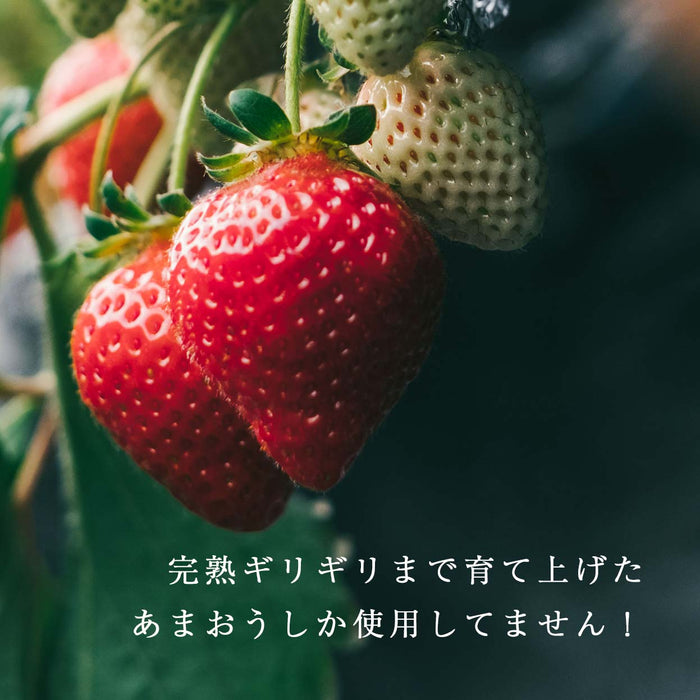 ［6個セット］武下さんちの“完熟” あまおうミルクジェラート 究極いちご含有率50％ ギフト いちご 福岡県 アイスクリーム シャーベット カップアイス ギフトセット 無着色〔8960001500〕