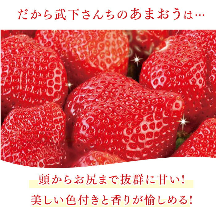 ［内容量 450g］武下さんちの“超完熟”あまおう ギフトBOX  大粒 3L 品質保証 日本産 お歳暮〔8960002301〕