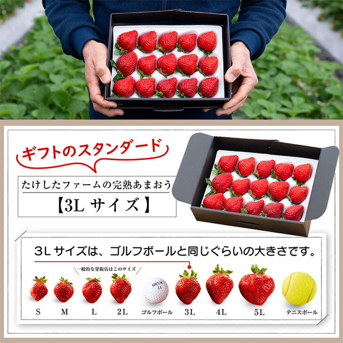 ［内容量 450g］武下さんちの“超完熟”あまおう ギフトBOX  大粒 3L 品質保証 日本産 お歳暮〔8960002301〕