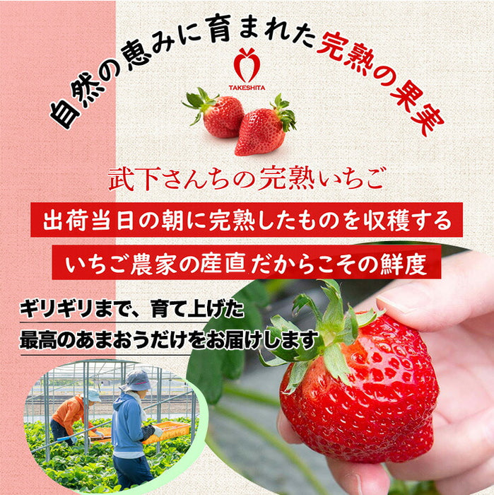 ［内容量 450g］武下さんちの“超完熟”あまおう ギフトBOX  大粒 3L 品質保証 日本産 お歳暮〔8960002301〕
