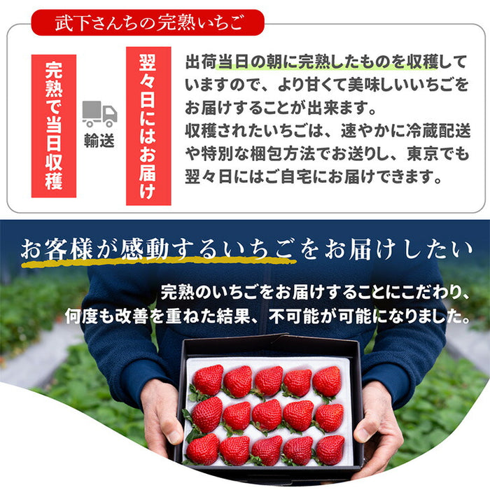 ［内容量 450g］武下さんちの“超完熟”あまおう ギフトBOX  大粒 3L 品質保証 日本産 お歳暮〔8960002301〕