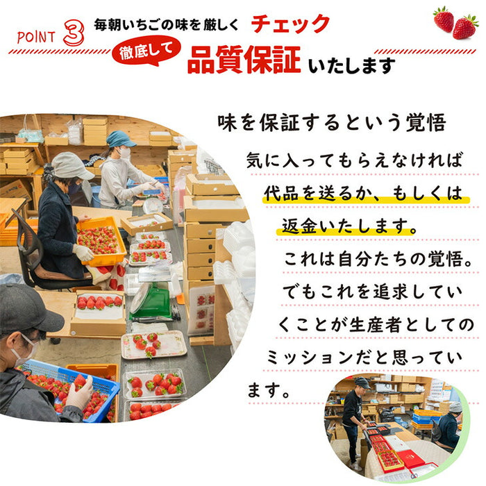 ［内容量 450g］武下さんちの“超完熟”あまおう ギフトBOX  大粒 3L 品質保証 日本産 お歳暮〔8960002301〕