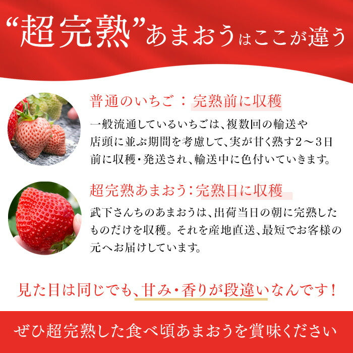 ［内容量 450g］武下さんちの“超完熟”あまおう ギフトBOX  大粒 3L 品質保証 日本産 お歳暮〔8960002301〕