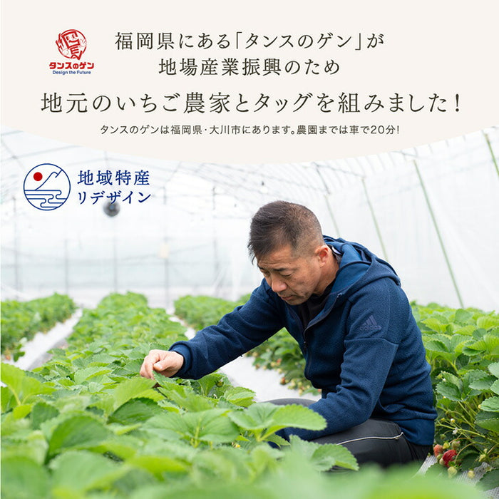 ［内容量 450g］武下さんちの“超完熟”あまおう ギフトBOX  大粒 3L 品質保証 日本産 お歳暮〔8960002301〕