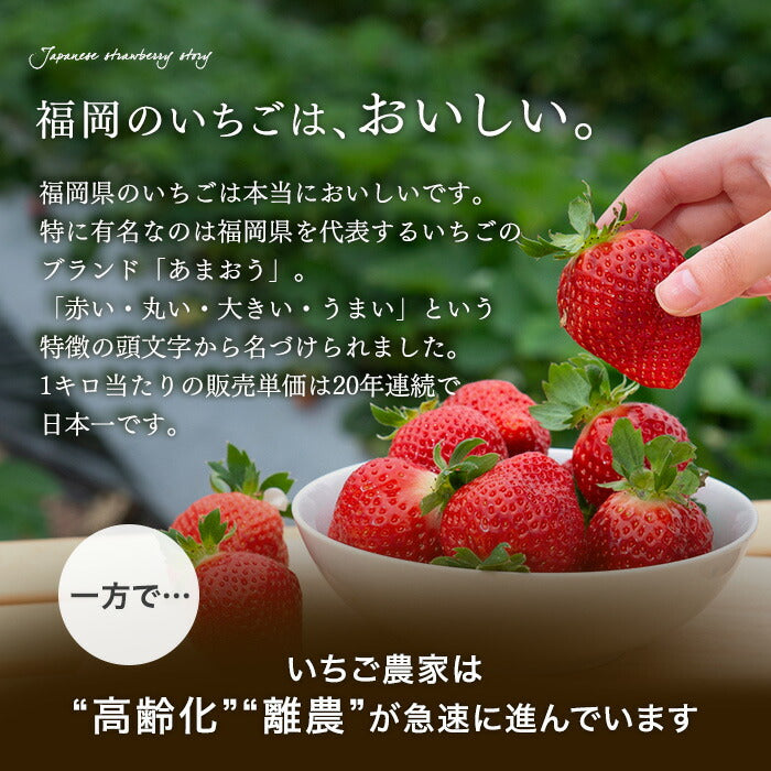 ［内容量 450g］武下さんちの“超完熟”あまおう ギフトBOX  大粒 3L 品質保証 日本産 お歳暮〔8960002301〕