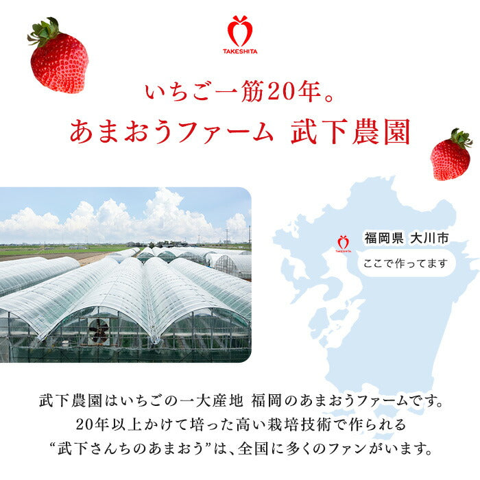 ［内容量 450g］武下さんちの“超完熟”あまおう ギフトBOX  大粒 3L 品質保証 日本産 お歳暮〔8960002301〕