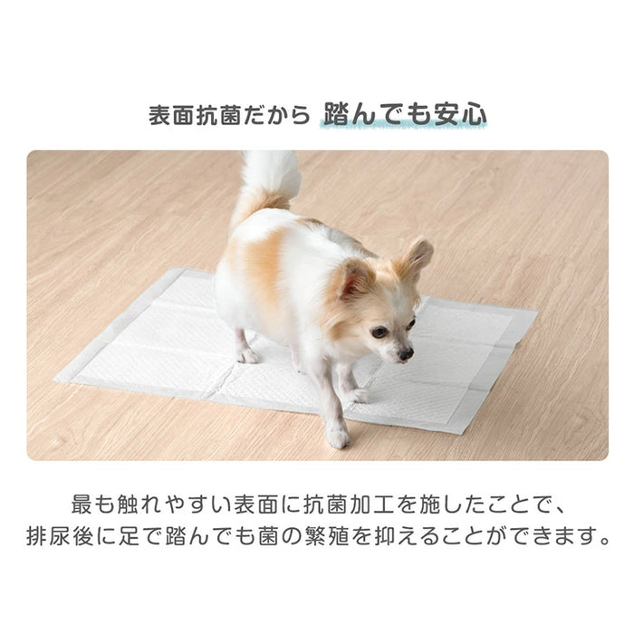 《当店だけの表面抗菌》選べる2タイプ ペットシーツ レギュラー 消臭 6層構造 トイレシーツ 使い捨て 〔90600001〕