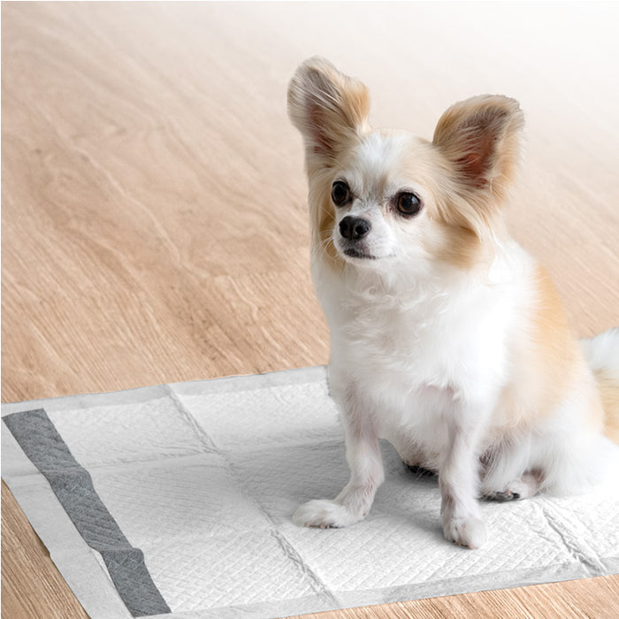 《当店だけの表面抗菌》 炭消臭 ペットシーツ 厚型 レギュラー 400枚 / ワイド 200枚 ペットシート トイレシート〔90600002〕