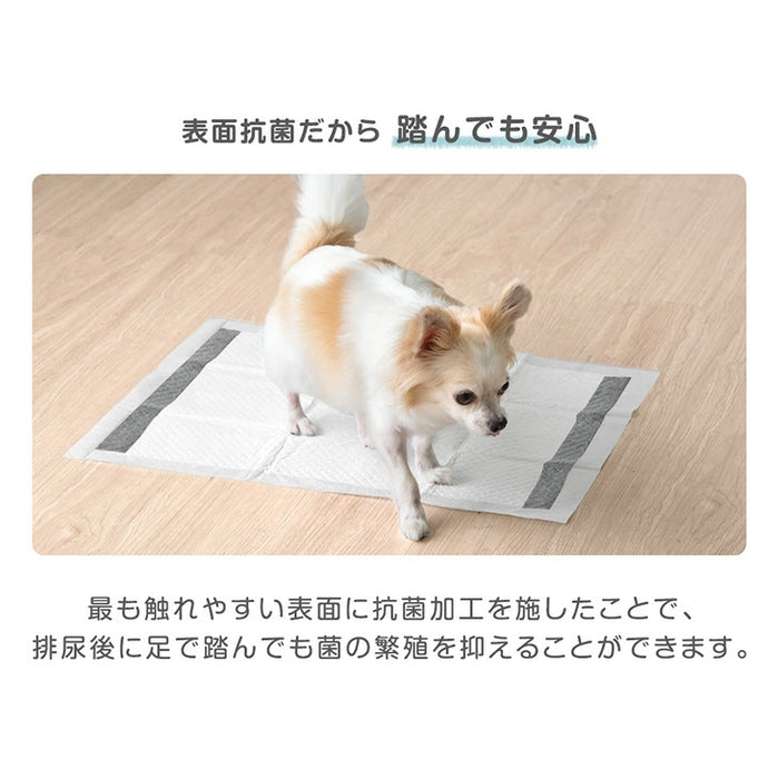 《当店だけの表面抗菌》 炭消臭 ペットシーツ 厚型 レギュラー 400枚 / ワイド 200枚 ペットシート トイレシート〔90600002〕