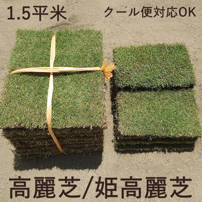 産地直送 高麗芝 or 姫高麗芝 天然芝 1.5平米 日本製 DIY 国産 産地直送 高麗芝 or 姫高麗芝 天然芝 1.5平米 日本製 DIY 国産