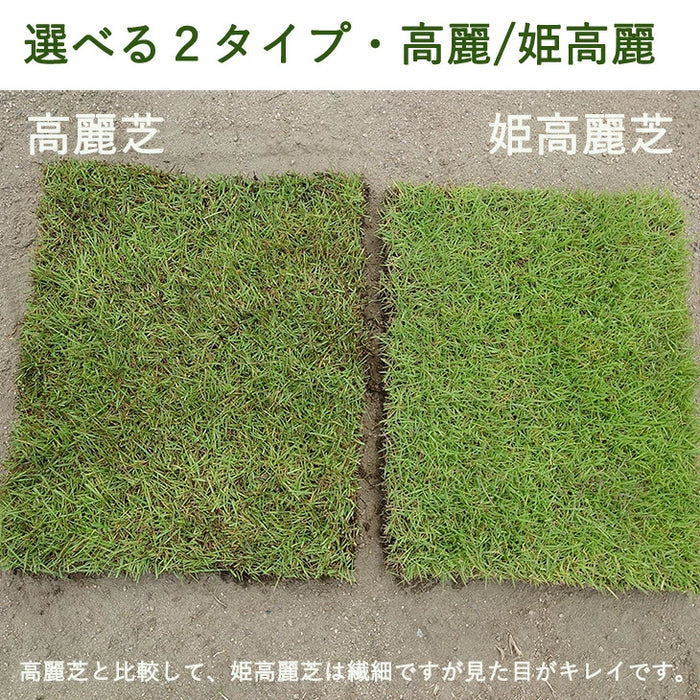 産地直送 高麗芝 or 姫高麗芝 天然芝 1.5平米 日本製 DIY 国産 産地直送 高麗芝 or 姫高麗芝 天然芝 1.5平米 日本製 DIY 国産