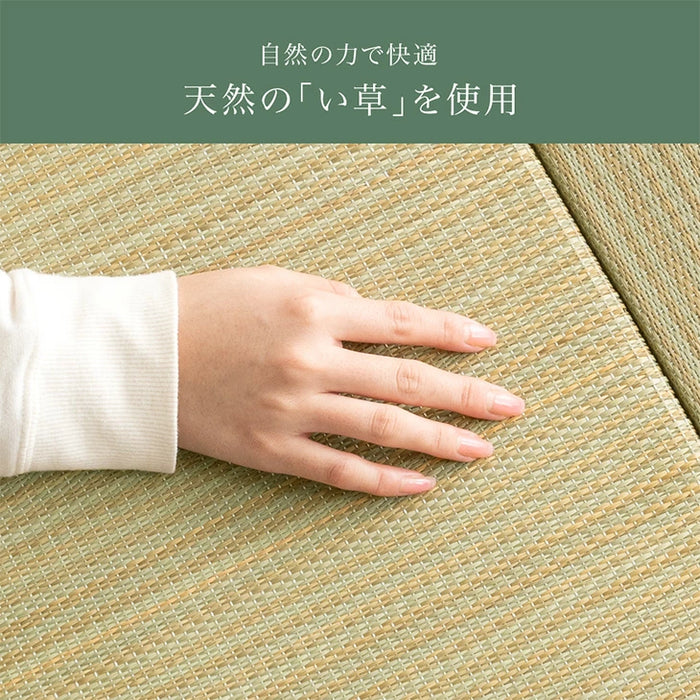 ［8枚］天然い草 畳 パレットベッド お掃除ロボ対応 抗菌 調湿 すのこベッド〔99902101〕