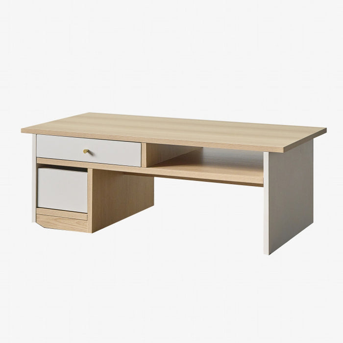 北欧　ローテーブル 幅100］ローテーブル 完成品 収納付き キャスター付 センターテーブル