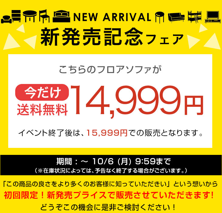 【新発売記念プライス】［1Pタイプ］洗える カバーリング フロアソファ ハイバック ロータイプ クッション付 北欧〔91800002〕
