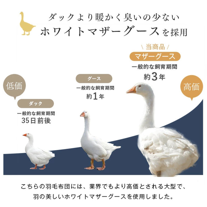 [ダブルロング]  羽毛布団 ホワイトマザーグース95％ 440dp 超長綿60サテン 国産 綿100% 綿100 抗菌 暖かい 羽毛掛け布団〔39100211〕
