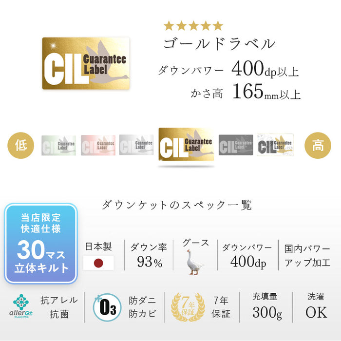［シングルロング・2枚組］においの少ないグースダウン 洗える ダウンケット 日本製 ホワイトグースダウン 93％ 0.3kg 肌掛け布団 夏 夏用 布団〔10106464〕