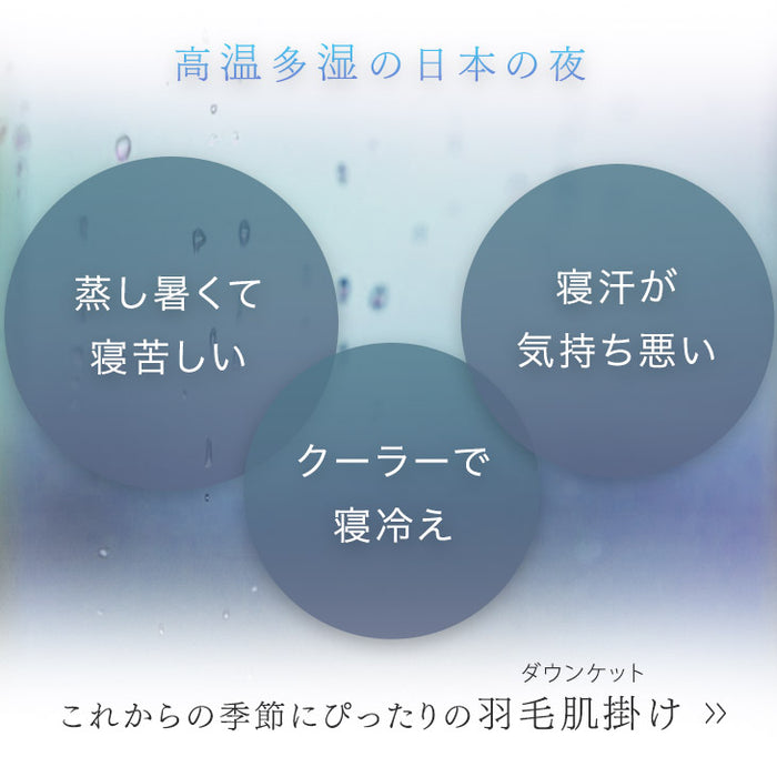 ［シングルロング・2枚組］においの少ないグースダウン 洗える ダウンケット 日本製 ホワイトグースダウン 93％ 0.3kg 肌掛け布団 夏 夏用 布団〔10106464〕