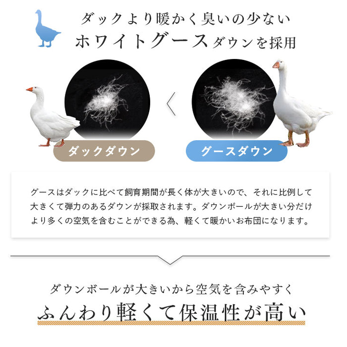［シングルロング・2枚組］においの少ないグースダウン 洗える ダウンケット 日本製 ホワイトグースダウン 93％ 0.3kg 肌掛け布団 夏 夏用 布団〔10106464〕